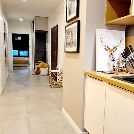 Dolce Wawel Przestronny Apartament Przy Bulwarach Wislanych, Blisko Wawelu I Najwazniejszych Atrakcji Krakowa.