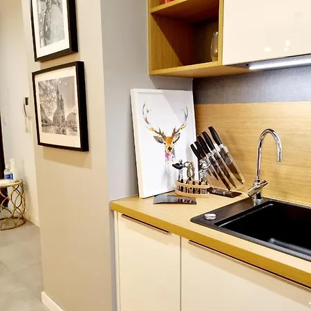 Dolce Wawel Przestronny Apartament Przy Bulwarach Wislanych, Blisko Wawelu I Najwazniejszych Atrakcji Krakowa. Apartment *